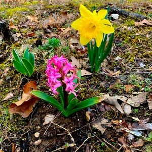 Hey guys! lowering all prices on books take look ,reasonable offers considered